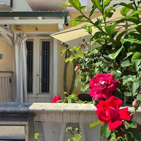 Casa Con Giardino E Biciclette Vicino Pineta *