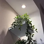 Nyaraló Casa Con Giardino E Biciclette Vicino Pineta Viareggio