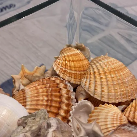 Casa Con Giardino E Biciclette Vicino Pineta Ferienhaus