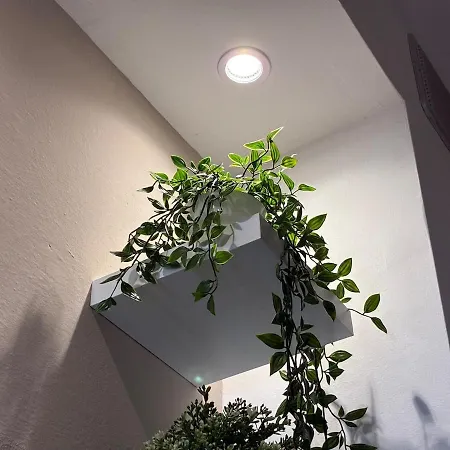Casa vacanze Piano Terra Con Giardino, Vicino Al Mare Viareggio