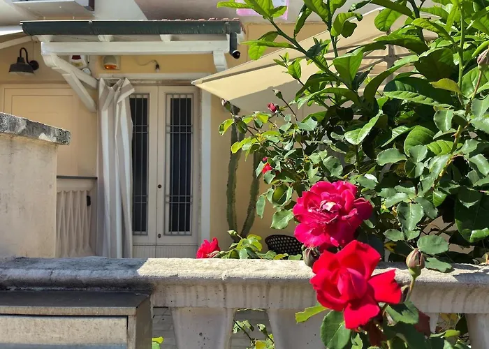 Casa Con Giardino E Biciclette Vicino Pineta *