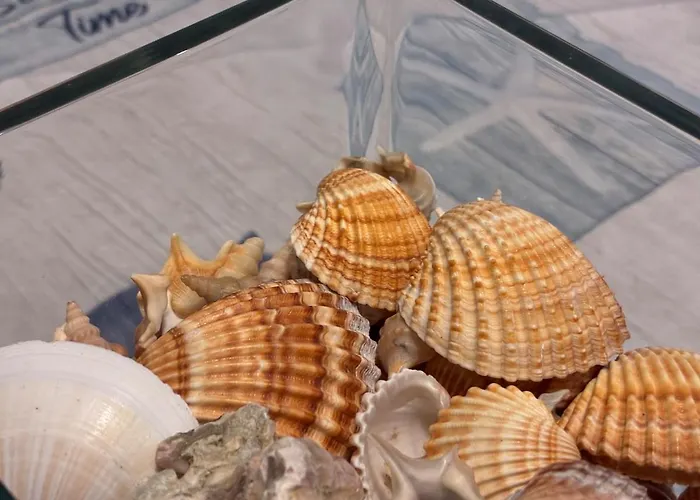 Casa Con Giardino E Biciclette Vicino Pineta Dom wakacyjny