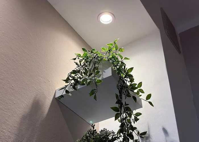 Dom wakacyjny Casa Con Giardino E Biciclette Vicino Pineta Viareggio